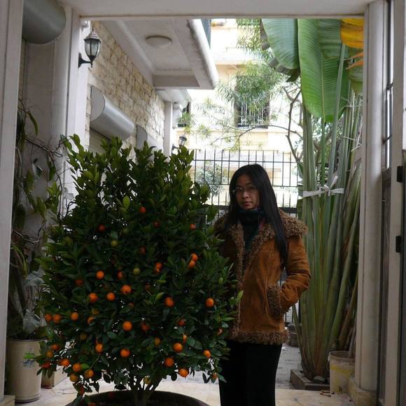aquahanoi